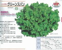 【レタス】グリーンスパン〔カネコ育成〕「登録品種」(品種名:KA2430) 海外持出禁止(公示(農水省HP)参照)/コート5千粒