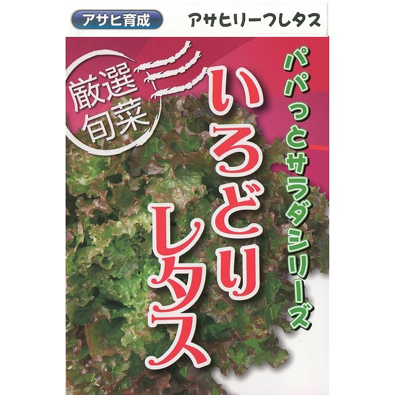 【レタス】いろどりレタス〔アサヒ育成〕/小袋（コート80粒）