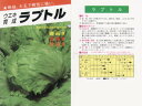 【レタス】玉レタス ラプトル〔ウエキ育成〕/コート100粒