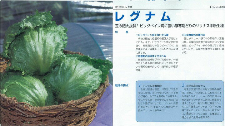 �ڥ쥿���ۥ쥰�ʥ�̥�������/5��γ������