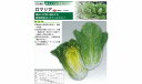 【レタス】ロメインレタス ロマリア〔タキイ育成〕《登録品種》品種名TLE487 海外持出禁止(公示(農水省HP)参照)/ペレット小袋100粒