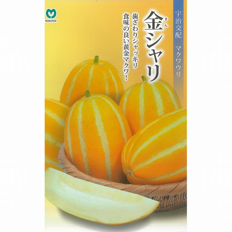 【マクワ】金シャリ[宇治交配]/小袋（0.8ml）