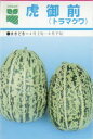 【マクワ】滋賀の伝統野菜シリーズ　虎御前〔固定種（太田）〕/小袋（40粒）