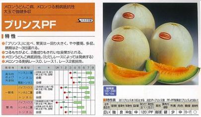 【メロン】プリンスPF〔サカタ交配〕/100粒