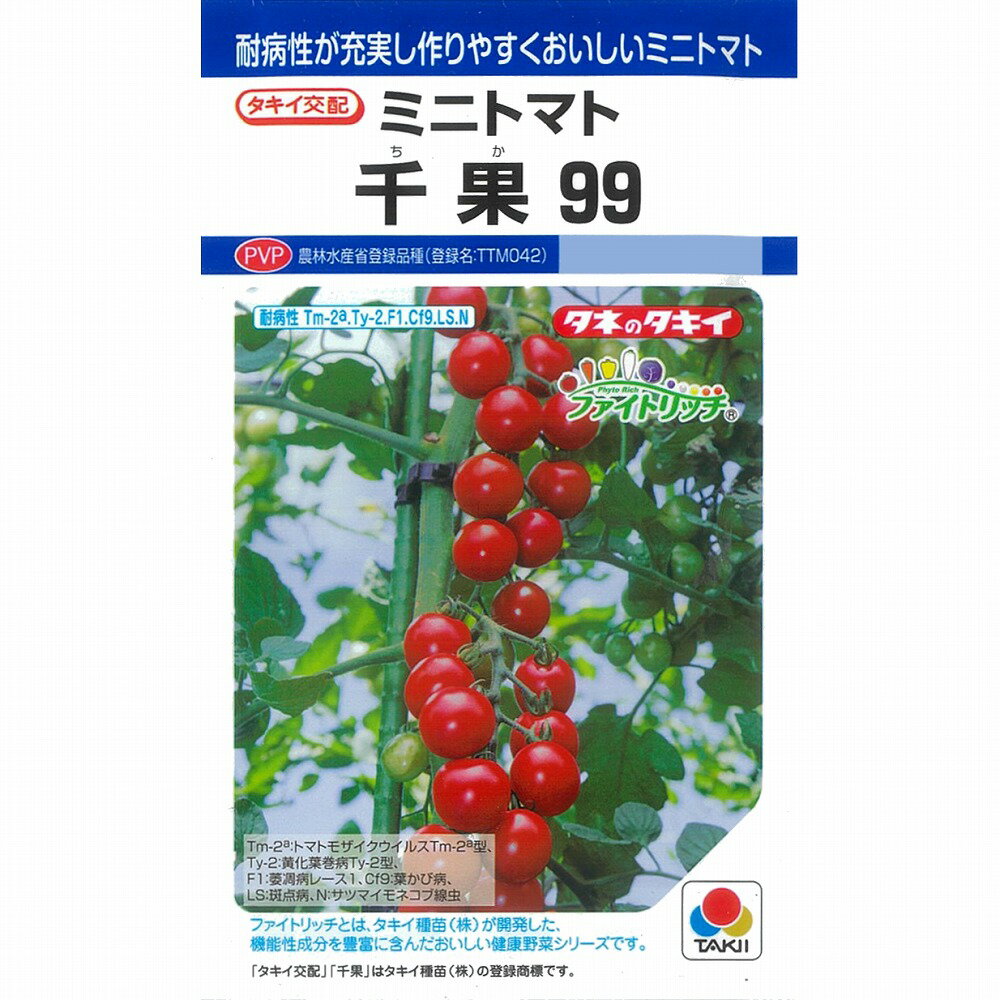 【ミニトマト】千果99〔タキイ交配〕《登録品種》品種名TTM042/小袋（12粒）