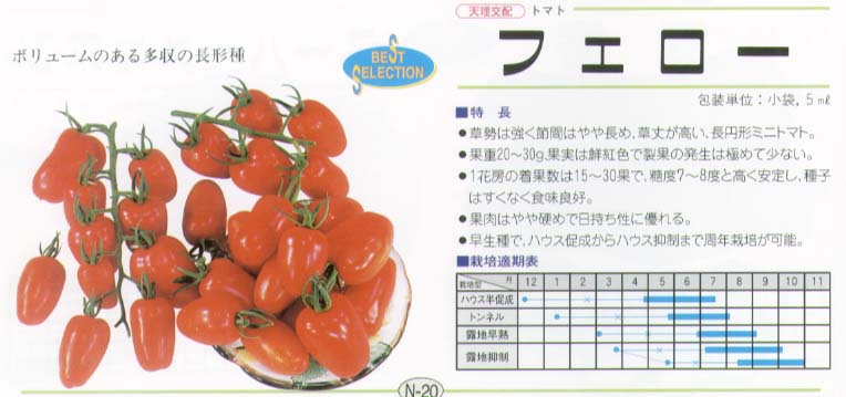 【ミニトマト】フェロー〔天理交配〕/小袋（25粒）