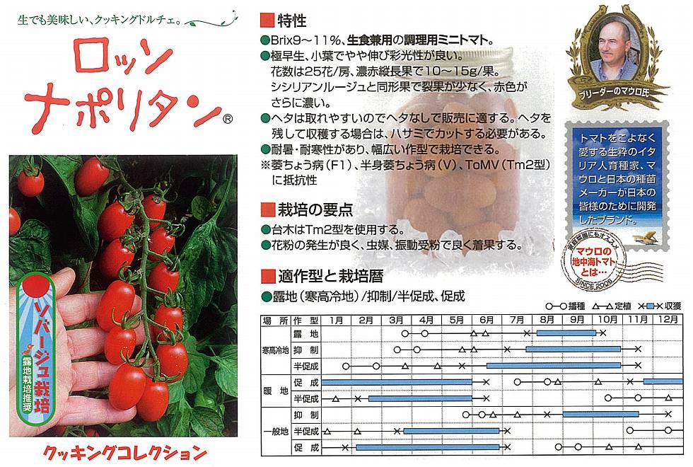 【ミニトマト】ロッソナポリタン（マウロの地中海トマト）〔サナテックシード 0455〕 /小袋（8粒）のサムネイル