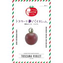 【ミニトマト】トスカーナバイオレット（マウロの地中海トマト）〔パイオニアエコサイエンス〕/小袋（8粒）