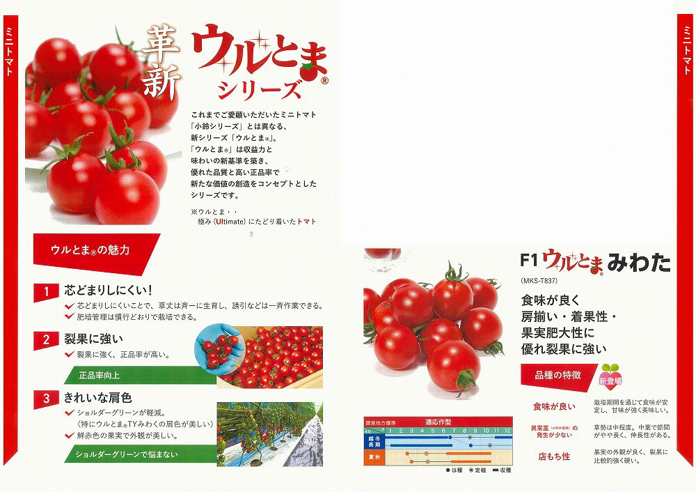 �ڥߥ˥ȥޥȡۥ���Ȥޥ��꡼�� F1 ����Ȥ� �ߤ錄��0527�� / 100γ