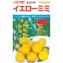 【ミニトマト】イエローミミ〔カネコ交配〕/小袋(11粒)