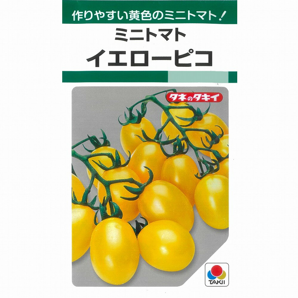 【ミニトマト】イエローピコ〔タキイ〕/小袋（27粒）
