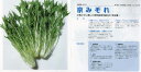 【ミズナ】京みぞれ〔タキイ交配〕/小袋(5.0ml)