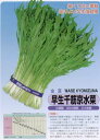【ミズナ】早生千筋京水菜〔金賞(固定種)〕/小袋(約5ml)