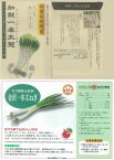 【ネギ】加賀伝統野菜　加賀一本太葱〔固定種0352〕/小袋