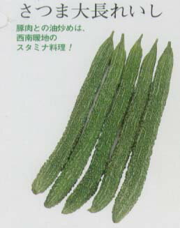 【ニガウリ】さつま大長れいし〔固定種0061〕/小袋（5.0ml）のサムネイル