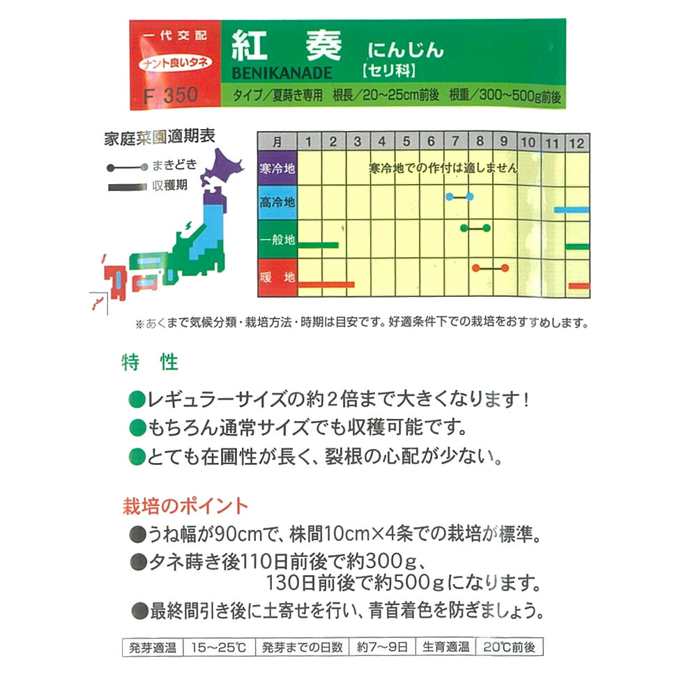 【ニンジン】紅奏〔一代交配(ナント)〕/小袋(...の紹介画像2