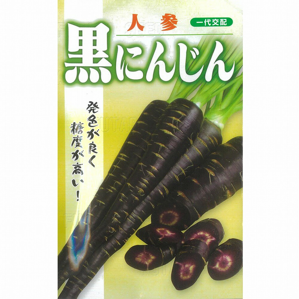 【ニンジン】黒にんじん〔一代交配0336〕(フタバ)〕/300粒コート