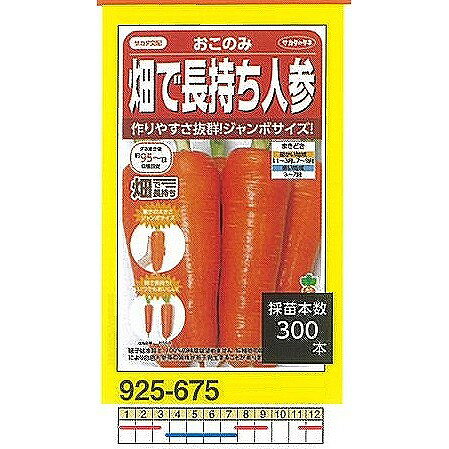 【ニンジン】畑で長持ち人参　おこのみ〔サカタ交配〕/小袋（3ml）
