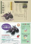 【ナス】加賀伝統野菜　ヘタ紫茄子〔松下〕/小袋（2ml約230粒）