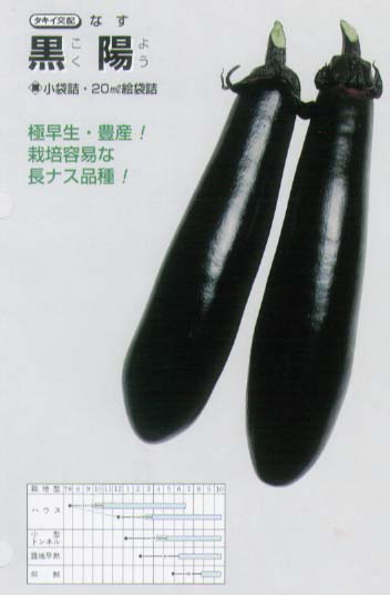【ナス】黒陽〔タキイ交配〕/小袋（60粒）
