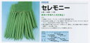 【つるなし菜豆(インゲン)】すじなし・丸莢 セレモニー〔高農品種〕/小袋(25ml)