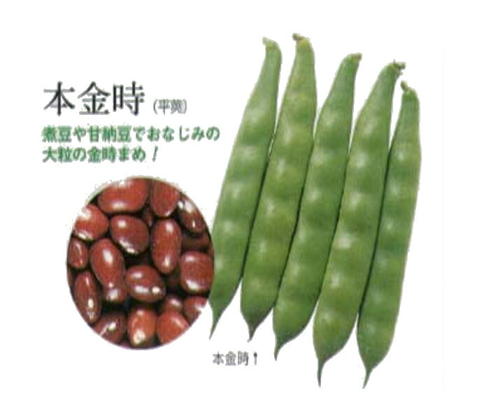 �ڤĤ�ʤ���Ʀ�ʥ��󥲥�ˡ��ܶ���̸����0061��/���ޡ�40.0ml��