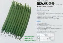 【つるなし菜豆(インゲン)】初みどり2号〔タキイ〕/小袋(50.0ml)