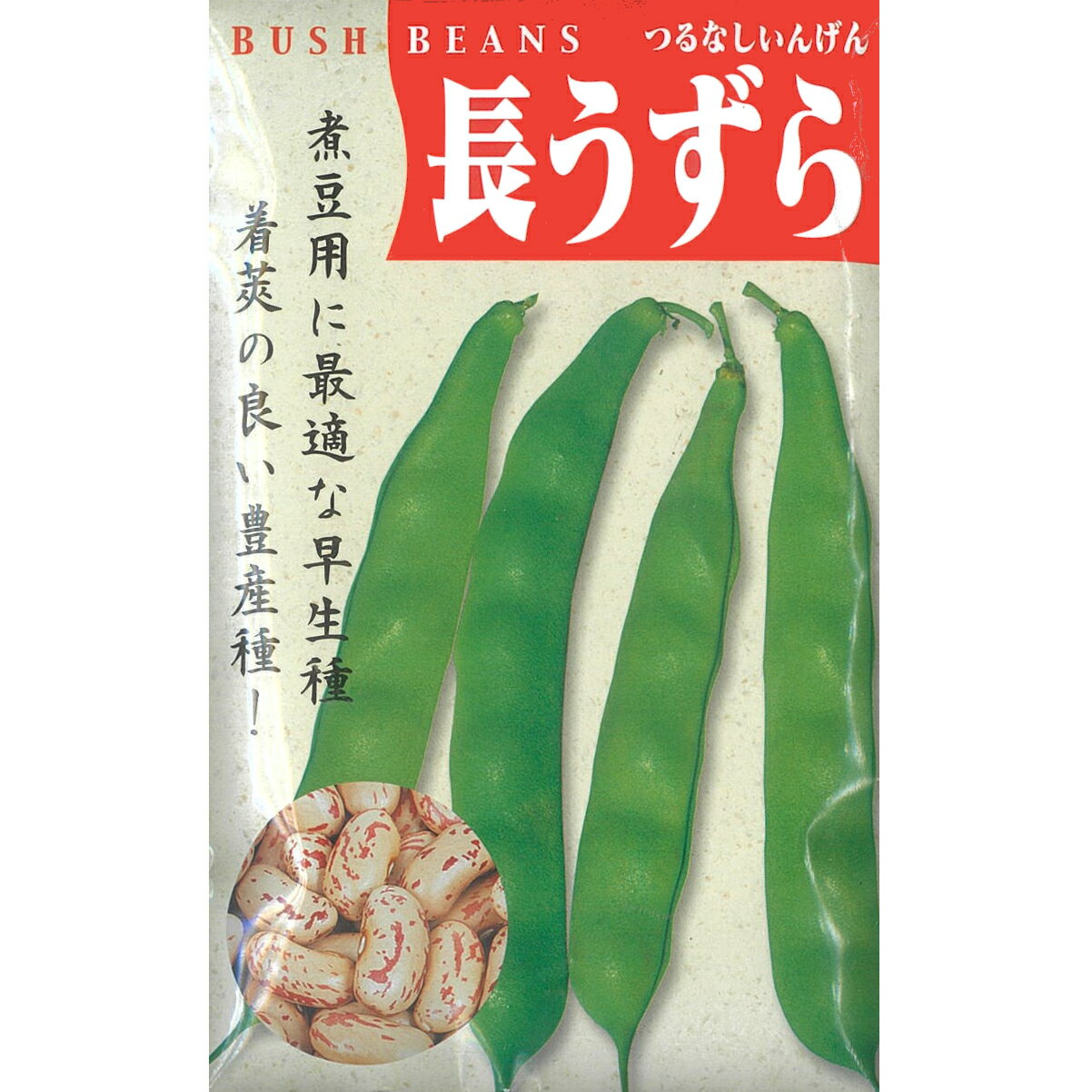 【つるなし菜豆（インゲン）】長うずら（長鶉）〔固定種0043〕/小袋（30ml）