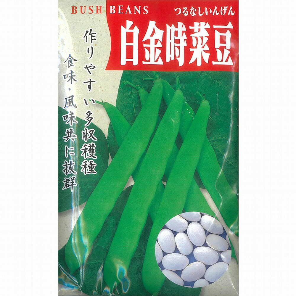 【つるなし菜豆（インゲン）】白金時菜豆〔固定種〕/小袋