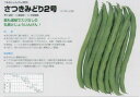 【つるなし菜豆(インゲン)】さつきみどり2号〔タキイ〕/小袋(50.0ml)