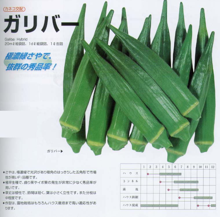 極濃緑のサヤで、市場性抜群。極早生で秀品率の高い品種。