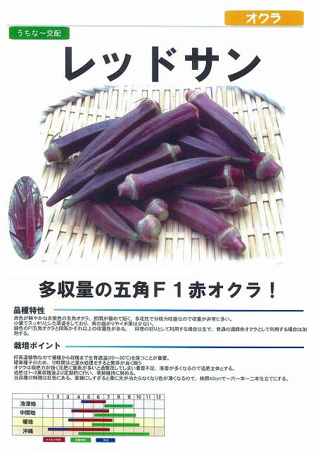 【オクラ】レッドサン〔うちな〜交配〕/小袋（10ml）