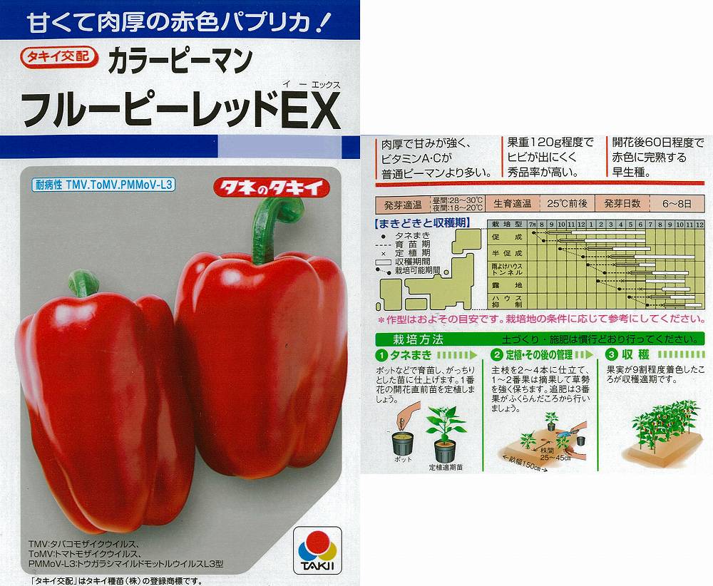 【ピーマン】カラーピーマン フルーピーレッドEX〔タキイ交配〕/小袋（27粒）のサムネイル