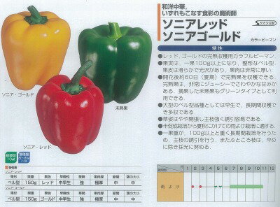 果実は一果100g以上になり整形なベル型。果皮はなめらかで光沢があり、果肉は非常に厚い。開花後約60日で完熟する。