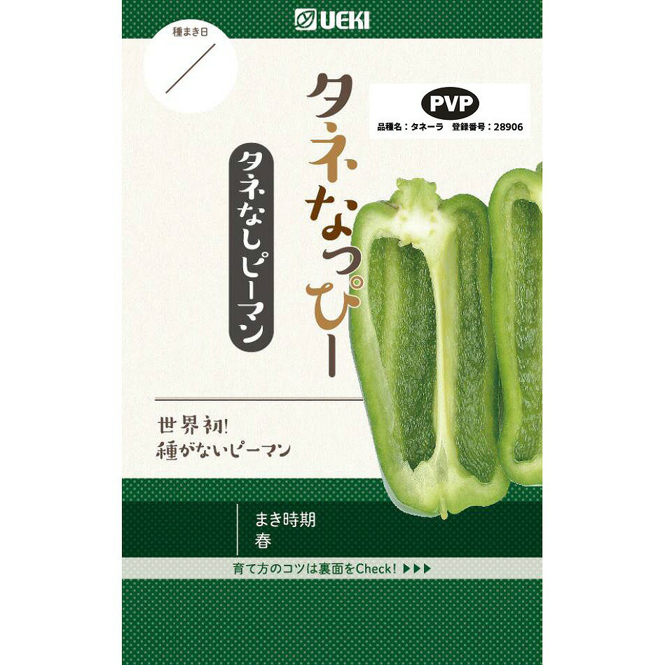 【ピーマン】ベイファーム タネなっぴー タネなしピーマン 《登録品種》品種名：タネーラ　海外持出禁..
