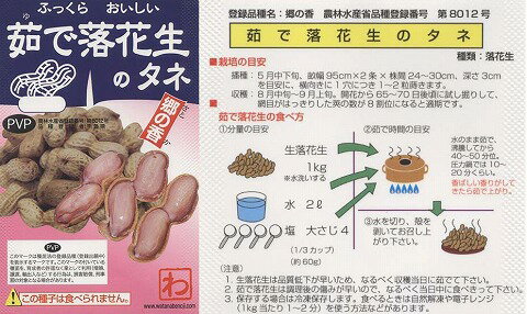 【落花生】茹で落花生のタネ《登録品種名：郷の香》〔渡辺農事〕/1dl