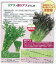 【その他の菜類】カラシナ 赤リアスからし菜〔固定種0055〕《品種名:アカリアス》/小袋 (6.0ml) 220円