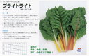 【その他の菜類】フダンナ スイスチャード ブライトライト〔タキイ〕/小袋