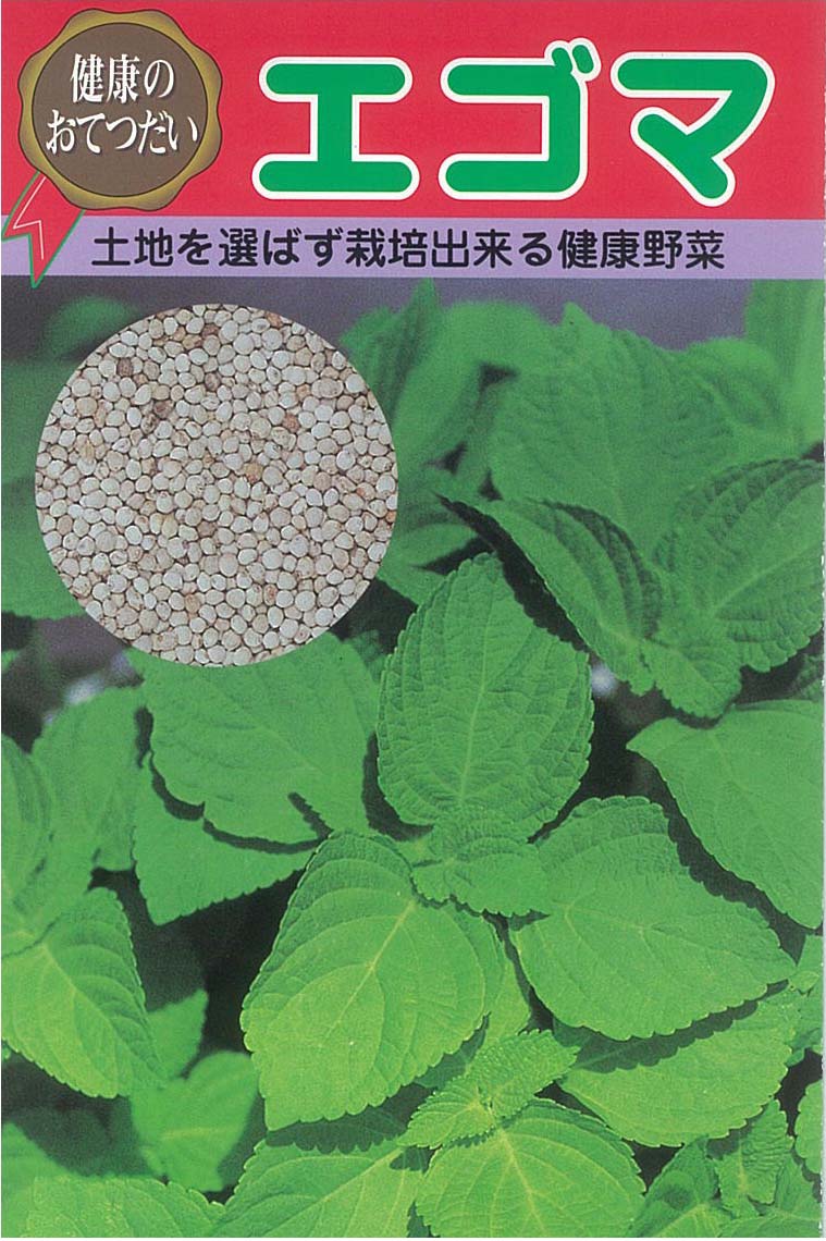 家庭菜園のプロ監修 栄養ギッシリ エゴマの手軽な栽培方法と収穫のコツ 農業 ガーデニング 園芸 家庭菜園マガジン Agri Pick