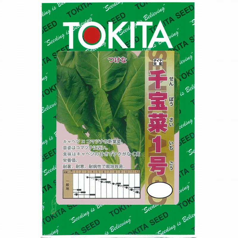 【その他の葉もの】千宝菜1号〔ダイヤ交配〕/小袋（約5.0ml）