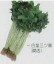 【その他の菜類】ミツバ(三ツ葉) 白茎三つ葉(関西系)〔固定種0061〕/小袋(4.0ml)