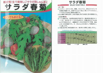 【シュンギク】サラダ春菊〔丸種0050〕/小袋（27ml）