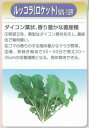 【その他の菜類】ルッコラ(ロケット) ニコル(WN-12R) 〔渡辺農事〕/コート200粒