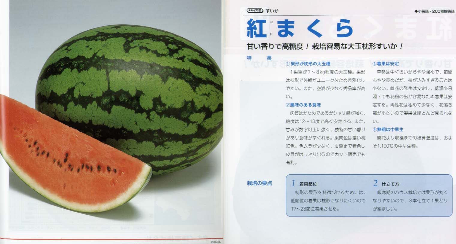 【スイカ】紅まくら〔タキイ交配〕/小袋（8粒）