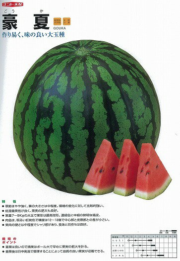 【スイカ】縞皮・赤肉　豪夏〔ナント交配〕/小袋（7粒）