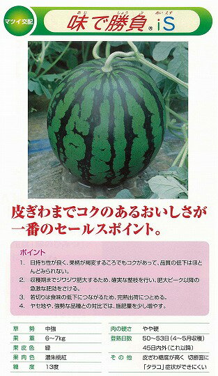 【スイカ】味で勝負iS〔マツイ交配〕/小袋
