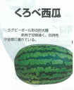 【スイカ】黒部すいか（黒部西瓜・くろべ西瓜）〔固定種0352〕/小袋（5粒）