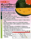 草勢はやや大人しい。果重3〜4kgの中玉で短楕円形スイカ。果肉は硬くシャリ感があり、濃いオレンジ色で糖度は12度程度。