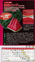 【スイカ】縞俵型・赤肉 羅皇ロング(NW-913)〔ナント交配〕/小袋(7粒)