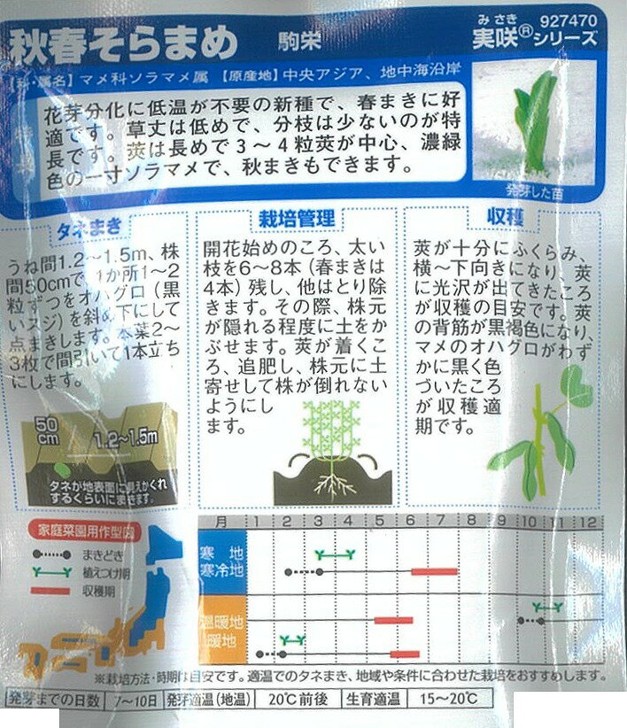 【ソラマメ】駒栄〔サカタ育成〕/小袋(28ml)の紹介画像2